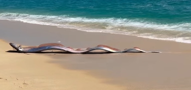 圖片來源：IG @monicaandco_