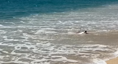 圖片來源：IG @monicaandco_