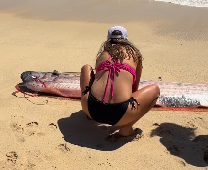 圖片來源：IG @monicaandco_