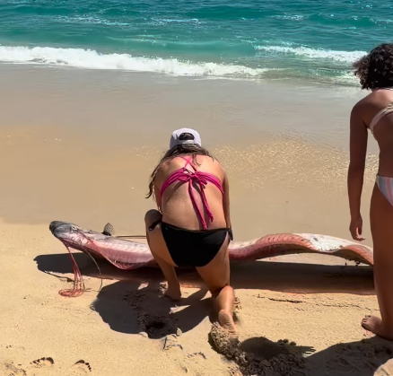 圖片來源：IG @monicaandco_