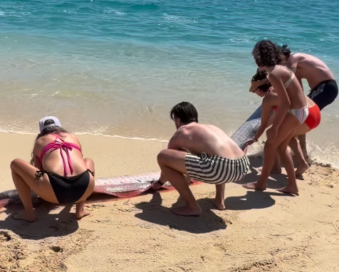 圖片來源：IG @monicaandco_