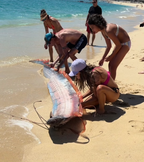 圖片來源：IG @monicaandco_