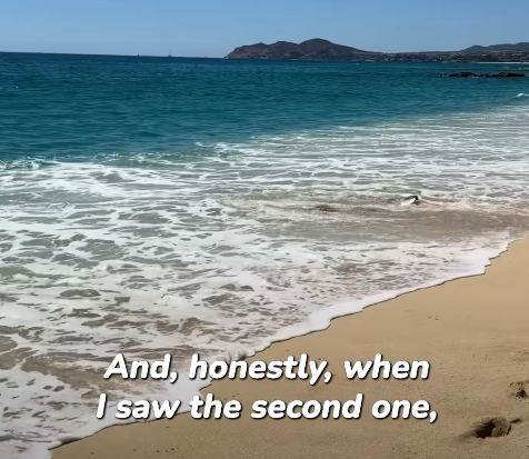 圖片來源：IG @monicaandco_