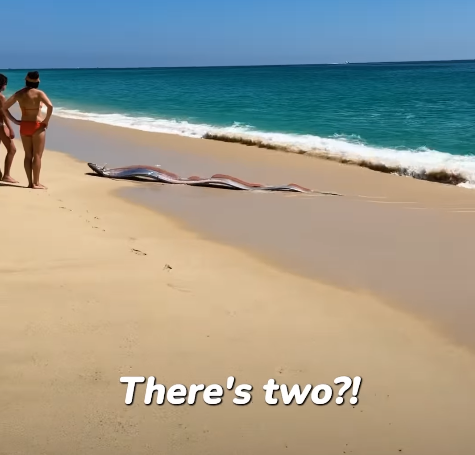 圖片來源：IG @monicaandco_