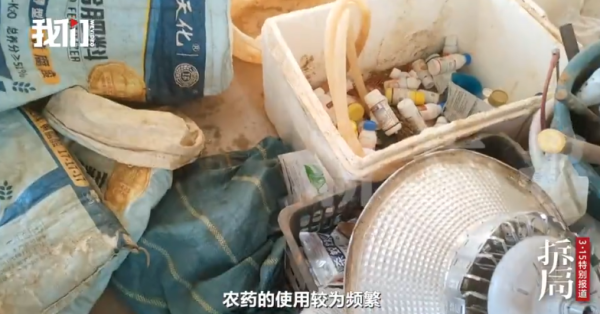 照片來源：新京報