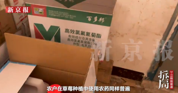 照片來源：新京報