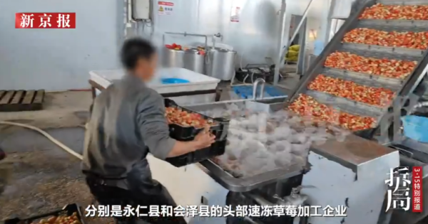 照片來源：新京報