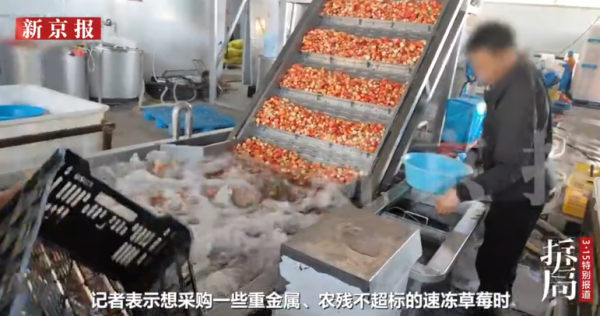 照片來源：新京報