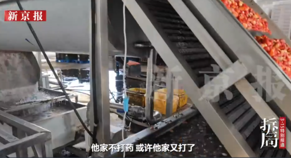 照片來源：新京報