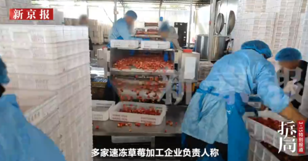 照片來源：新京報