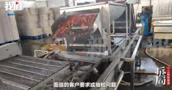 照片來源：新京報