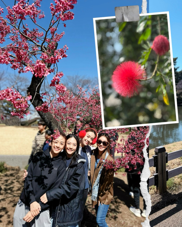 黃心穎四姊妹激罕合體餅印同框！人妻三家姐罕有露面狀態不輸藝人