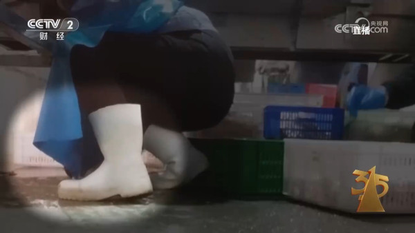 來源:中央電視台