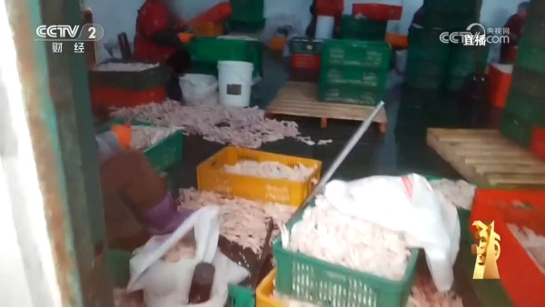 來源:中央電視台