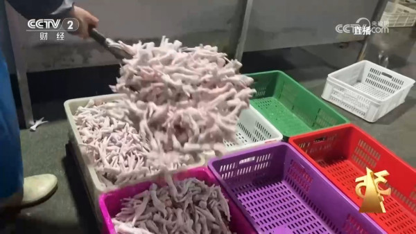 來源:中央電視台