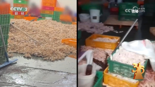 來源:中央電視台