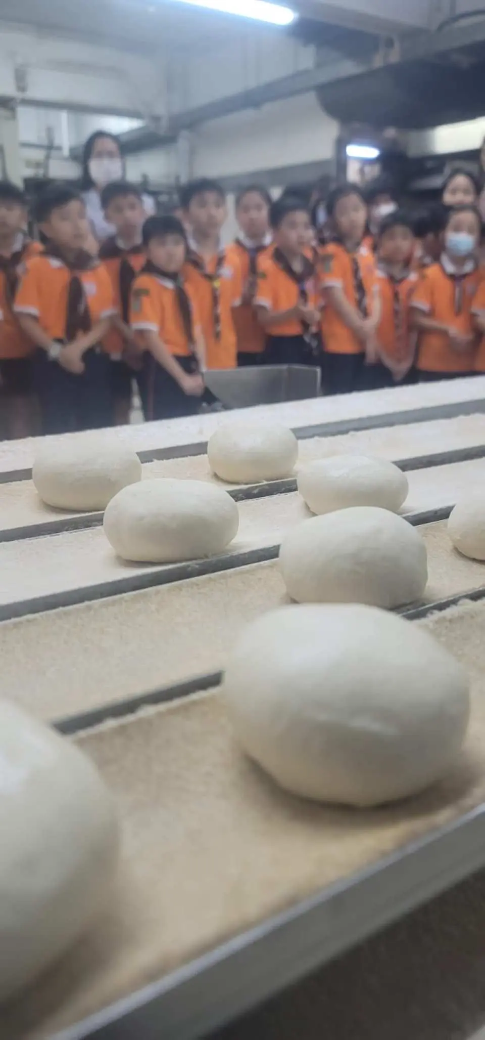 本地麵飽品牌「多多美麵飽西餅公司」麵包廠參觀！自製麵包+鮮果撻 完成有証書！參加即送曲奇一盒
