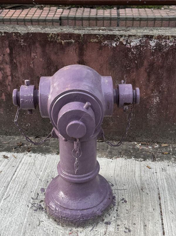 街頭驚見神秘「紫色消防栓」！網民以為AI執圖 官方揭開1大隱藏用途