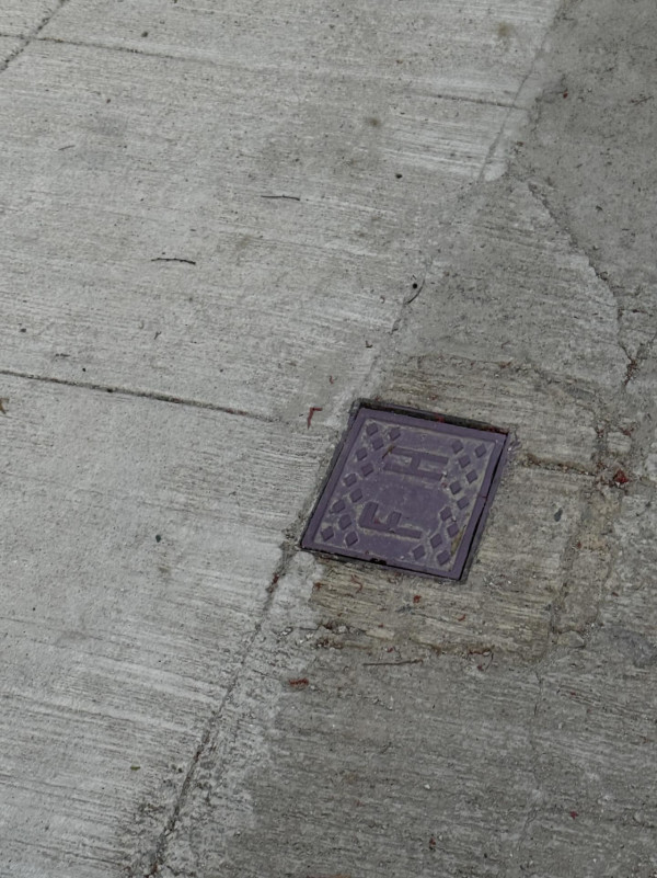 街頭驚見神秘「紫色消防栓」！網民以為AI執圖 官方揭開1大隱藏用途