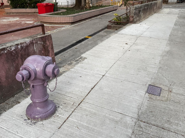 街頭驚見神秘「紫色消防栓」！網民以為AI執圖 官方揭開1大隱藏用途