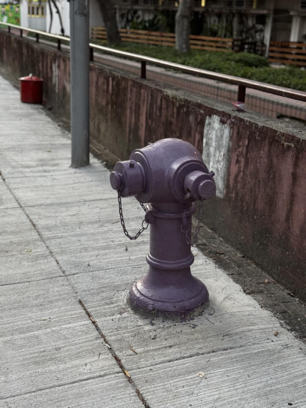 街頭驚見神秘「紫色消防栓」！網民以為AI執圖 官方揭開1大隱藏用途