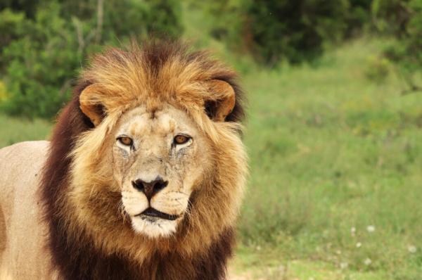 圖片來源：freepik