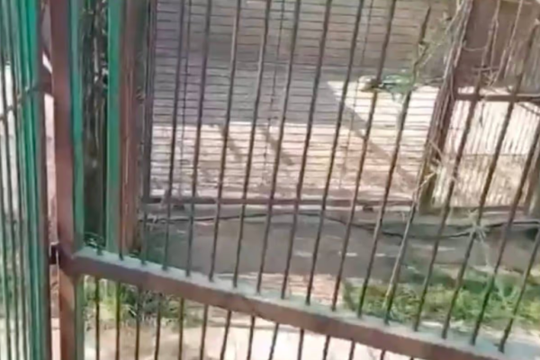 圖片來源：Daily Record