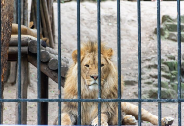 圖片來源：freepik