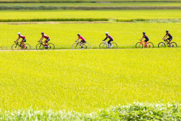 圖片來源： VISIT FUKUOKA  福岡縣旅遊官網