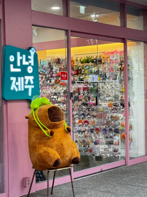 照片來源：小紅書@你好济州- HELLO JEJU纪念品店