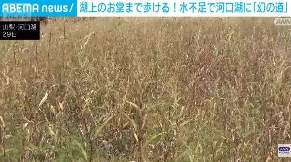 照片來源:YouTube@ANNnewsCH 照片來源:YouTube@ANNnewsCH