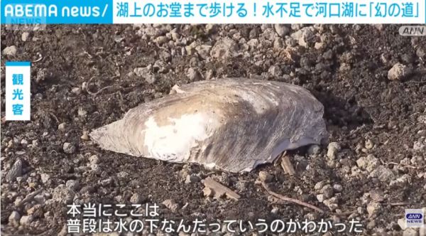 照片來源:YouTube@ANNnewsCH 照片來源:YouTube@ANNnewsCH