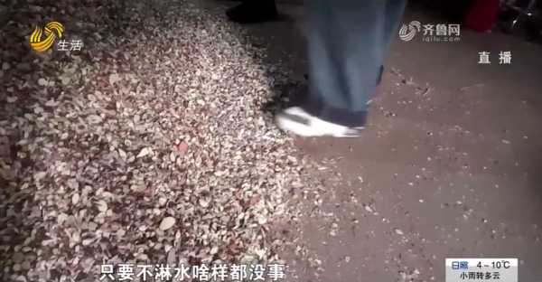 圖片來源:山東廣播電視台 圖片來源:山東廣播電視台