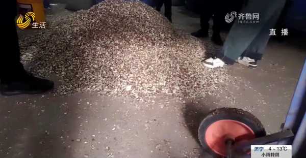 圖片來源:山東廣播電視台 圖片來源:山東廣播電視台