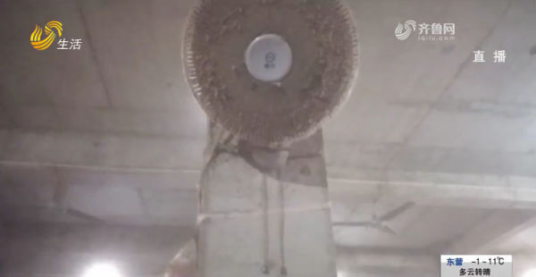 圖片來源:山東廣播電視台 圖片來源:山東廣播電視台