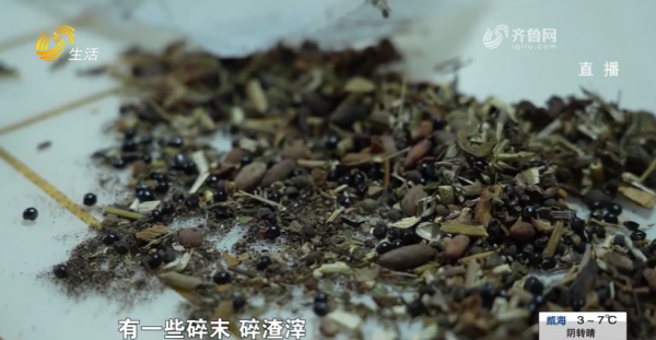 圖片來源:山東廣播電視台 圖片來源:山東廣播電視台