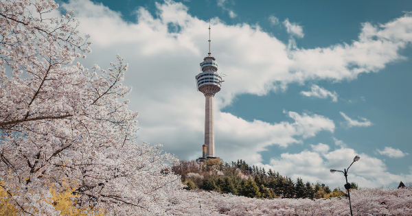 香港航空韓國機票限時優惠！首爾來回連稅一千五起包23kg行李 
