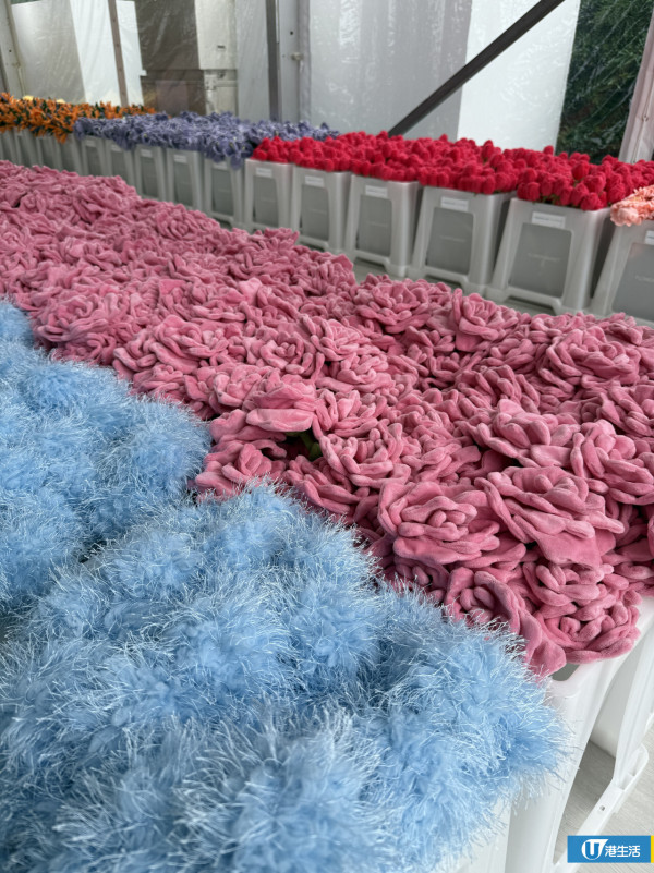 15萬枝毛絨花藝術裝置登陸中環！免費入場即拎走限定毛絨花1朵