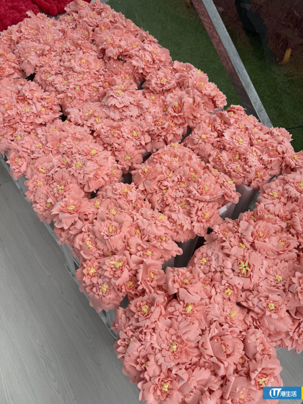 15萬枝毛絨花藝術裝置登陸中環！免費入場即拎走限定毛絨花1朵