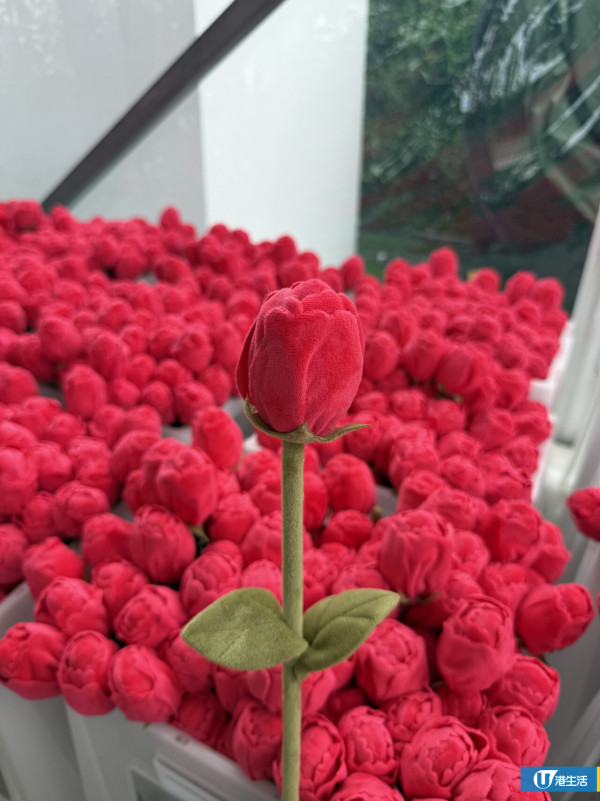 15萬枝毛絨花藝術裝置登陸中環！免費入場即拎走限定毛絨花1朵