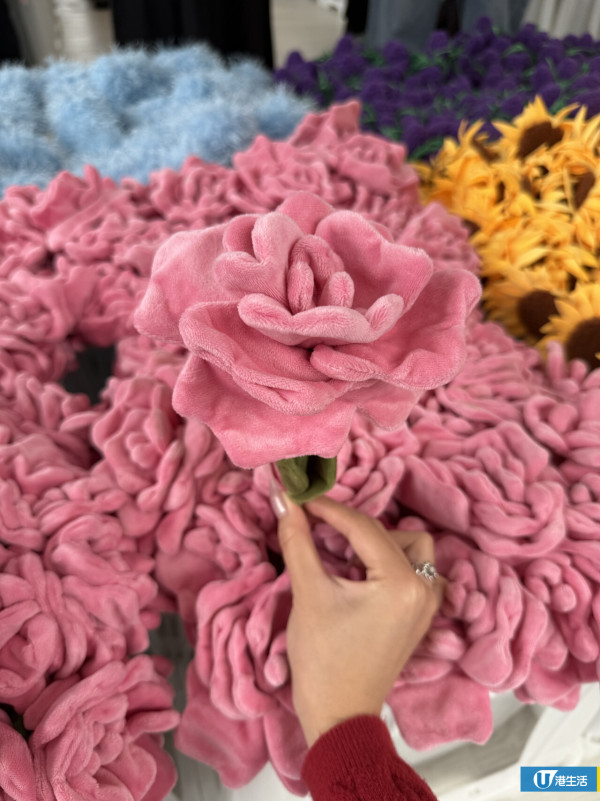 15萬枝毛絨花藝術裝置登陸中環！免費入場即拎走限定毛絨花1朵