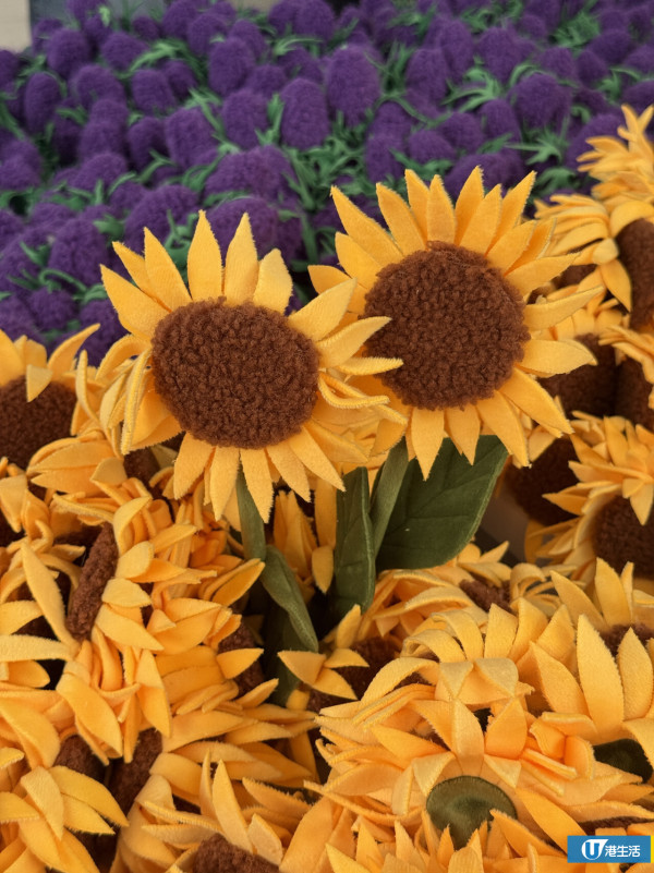 15萬枝毛絨花藝術裝置登陸中環！免費入場即拎走限定毛絨花1朵