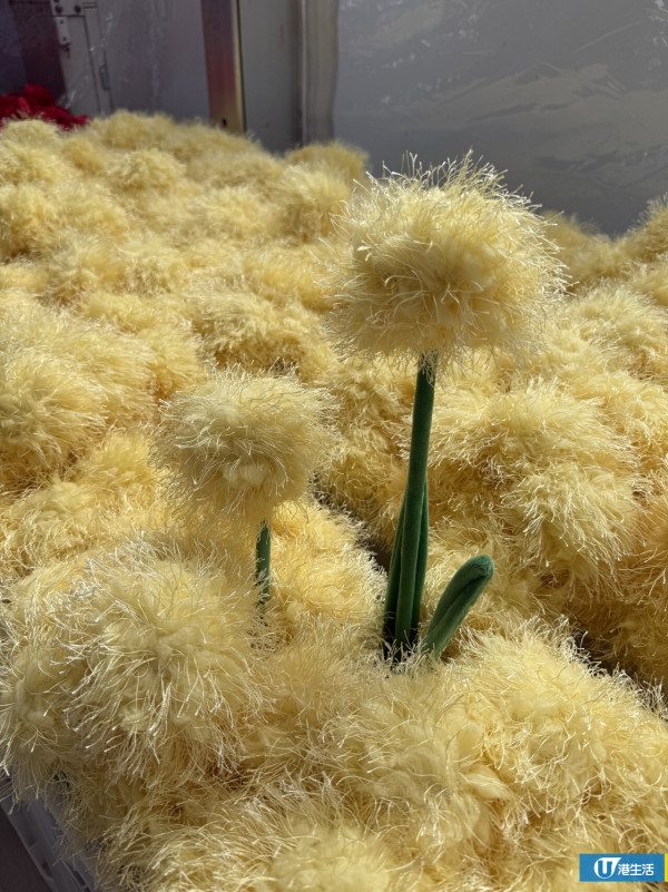 15萬枝毛絨花藝術裝置登陸中環！免費入場即拎走限定毛絨花1朵