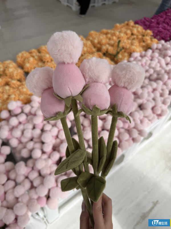 15萬枝毛絨花藝術裝置登陸中環！免費入場即拎走限定毛絨花1朵