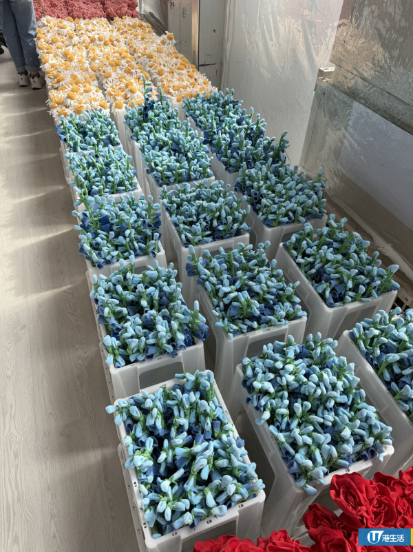15萬枝毛絨花藝術裝置登陸中環！免費入場即拎走限定毛絨花1朵