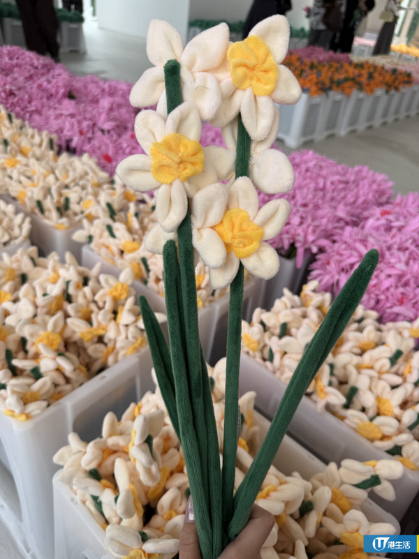 15萬枝毛絨花藝術裝置登陸中環！免費入場即拎走限定毛絨花1朵