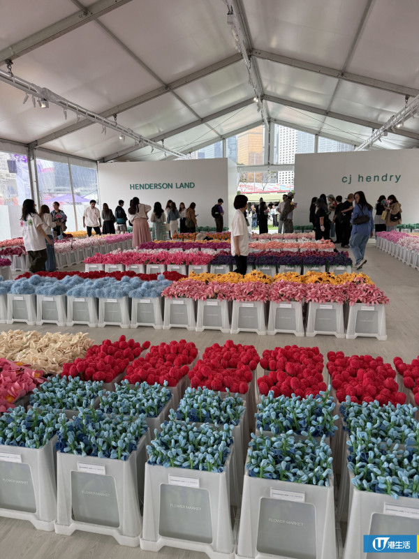 15萬枝毛絨花藝術裝置登陸中環！免費入場即拎走限定毛絨花1朵