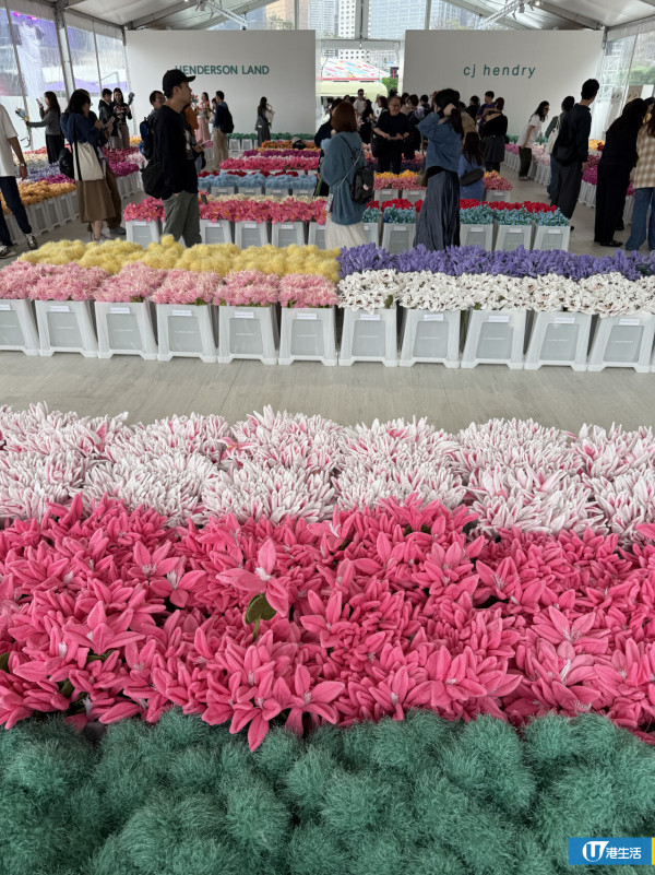 15萬枝毛絨花藝術裝置登陸中環！免費入場即拎走限定毛絨花1朵