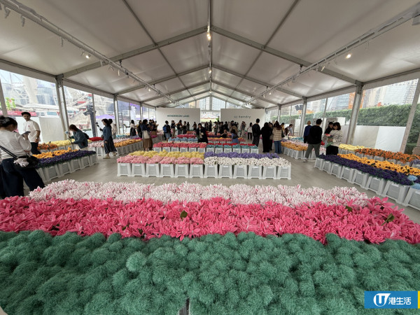 15萬枝毛絨花藝術裝置登陸中環！免費入場即拎走限定毛絨花1朵