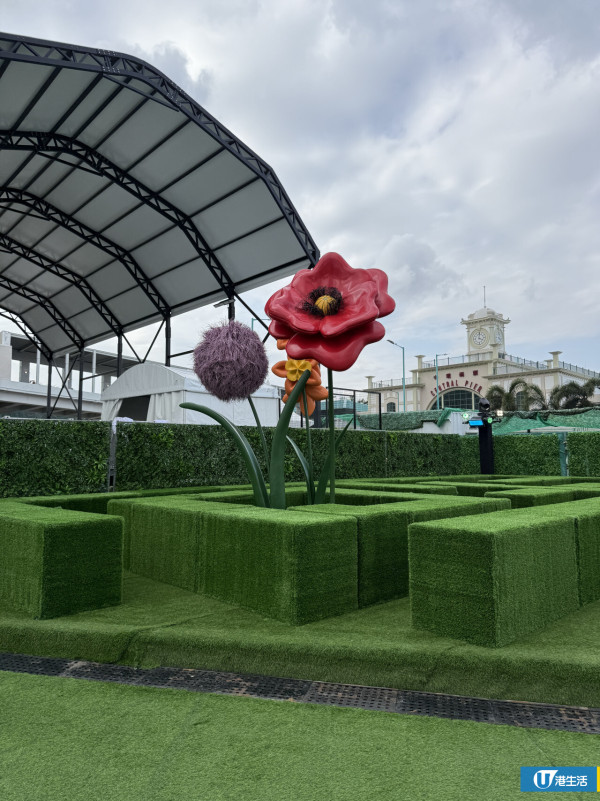 15萬枝毛絨花藝術裝置登陸中環！免費入場即拎走限定毛絨花1朵